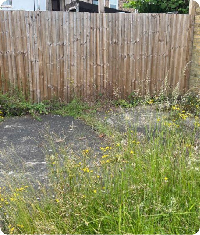 overgrown grass on a concrete floor in a garden