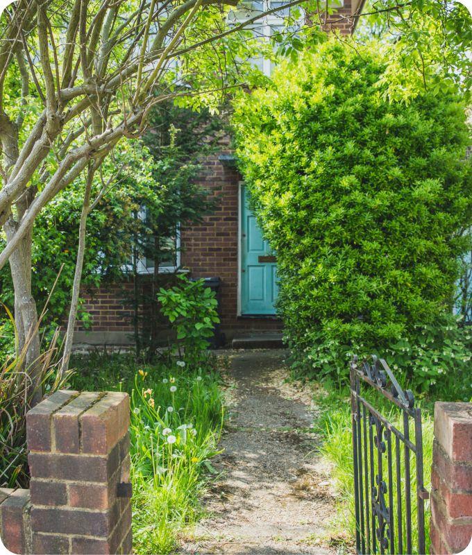 overgrown grass, trees and shrubs in a small front garden