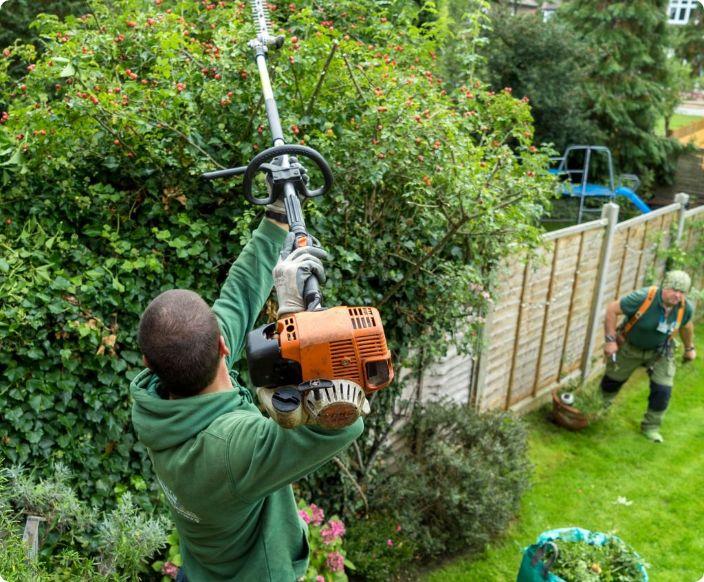 Gardening Team In Action a team of professional gardeners; one of them working on plants which are on the ground, the other one is working on shaping a tree's crown with a machine